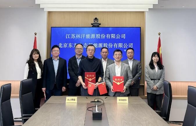 林洋能源与东方新能达成战略合作：创新储能模式，深耕“风光储”协同